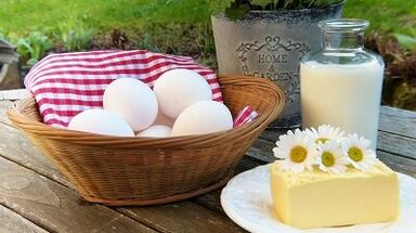 Regeln, die auf einer Proteindiät sitzen